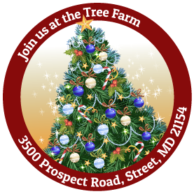 Join us for Choose and Cut Christmas Trees at our Northern Harford County Christmas Tree Farm!