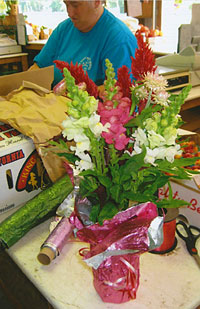 Fresh picked, locally grown sweet corn at Jones Family Farm Market, Baltimore and Edgewood, Maryland. 