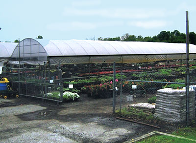 Bedding plants, flowers, shrubs, and mulch at Jones Family Farm Market in Edgewood and Baltimore area. 