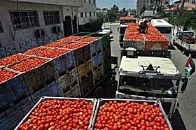 Large importers ship produce from as far as 1,500 miles away, and use high dosages of herbicides and pesticides to preserve the product over several weeks of travel.