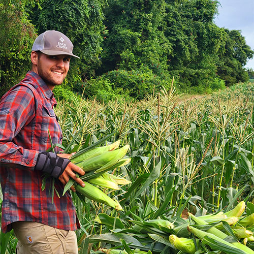 Fresh picked, locally grown vegetables at Jones Family Farm Market, Baltimore, Maryland. 