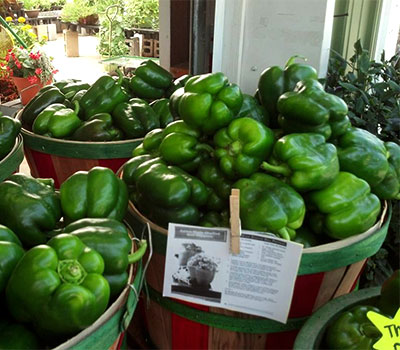Locally grown, fresh picked fruits and vegetables at Jones Family Farm Market in Edgewood and Baltimore areas, Maryland. 